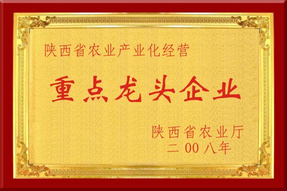 重點(diǎn)龍頭企業(yè)